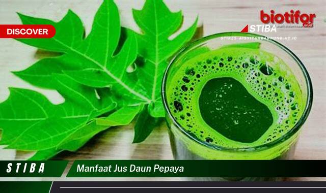 Inilah 9 Manfaat Jus Daun Pepaya yang Jarang Diketahui