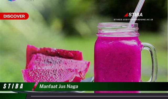 Inilah 9 Manfaat Jus Naga yang Jarang Diketahui