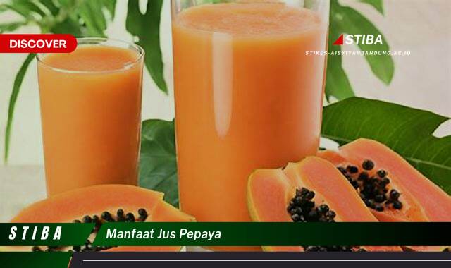 Ketahui 8 Manfaat Jus Pepaya yang Wajib Kamu Intip