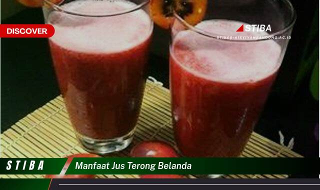 Ketahui 8 Manfaat Jus Terong Belanda yang Wajib Kamu Ketahui