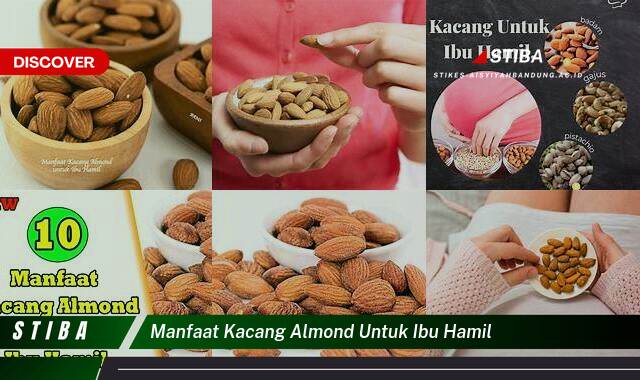 Inilah 8 Manfaat Kacang Almond untuk Ibu Hamil yang Tak Semua Orang Tahu Inilah 8 Manfaat Kacang Almond untuk Ibu Hamil yang Tak Semua Orang Tahu