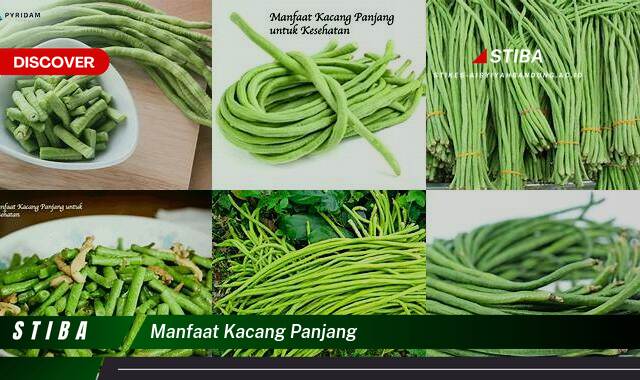 Inilah 9 Manfaat Kacang Panjang yang Wajib Kamu Ketahui Inilah 9 Manfaat Kacang Panjang yang Wajib Kamu Ketahui