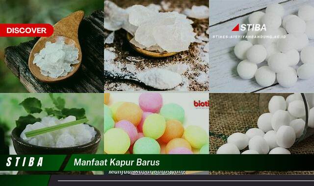 Inilah 8 Manfaat Kapur Barus yang Wajib Kamu Intip