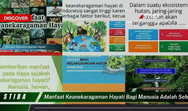 Ketahui 9 Manfaat Keanekaragaman Hayati yang Wajib Kamu Ketahui