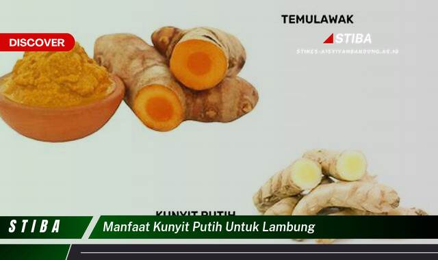 Temukan 8 Manfaat Kunyit Putih untuk Lambung yang Wajib Kamu Ketahui