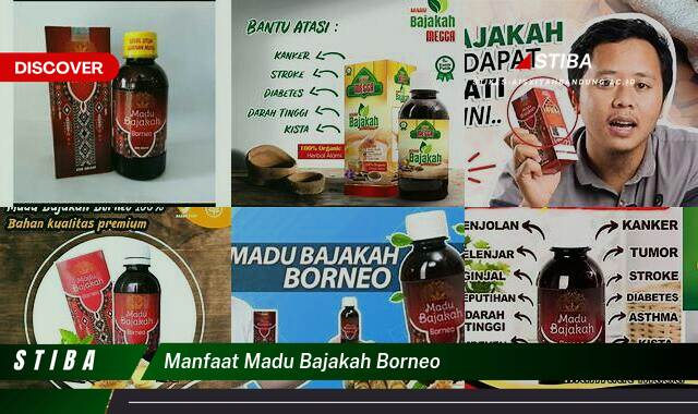 Ketahui 8 Manfaat Madu Bajakah Borneo yang Wajib Kamu Intip Ketahui 8 Manfaat Madu Bajakah Borneo yang Wajib Kamu Intip