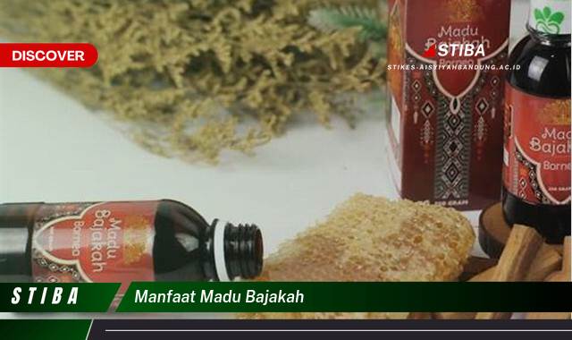 Temukan 9 Manfaat Madu Bajakah yang Wajib Kamu Ketahui