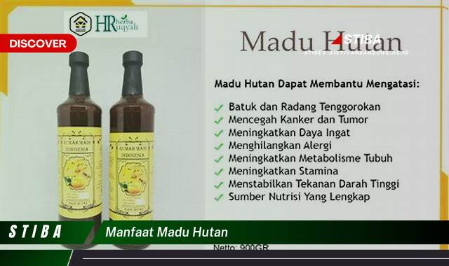 Inilah 10 Manfaat Madu Hutan yang Wajib Kamu Intip