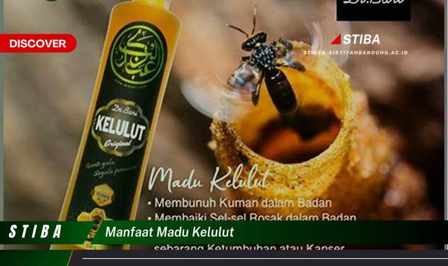Inilah 9 Manfaat Madu Kelulut yang Bikin Kamu Penasaran Inilah 9 Manfaat Madu Kelulut yang Bikin Kamu Penasaran