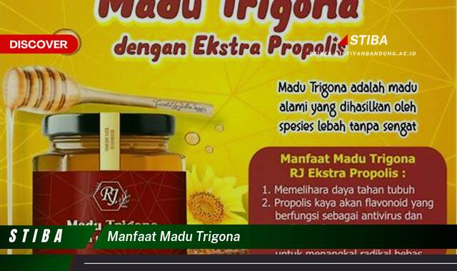 Temukan 9 Manfaat Madu Trigona yang Wajib Kamu Ketahui