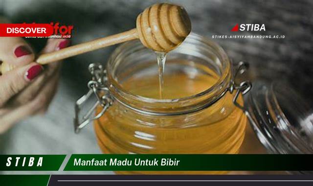 Inilah 9 Manfaat Madu untuk Bibir yang Tidak Semua Orang Tau Inilah 9 Manfaat Madu untuk Bibir yang Tidak Semua Orang Tau