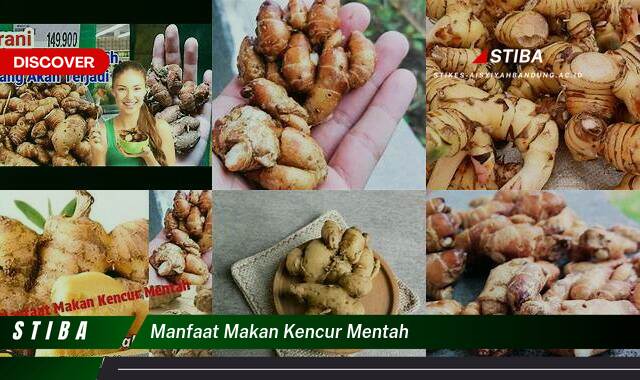Inilah 10 Manfaat Makan Kencur Mentah yang Jarang Diketahui