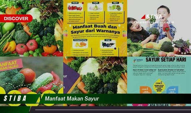 Ketahui 9 Manfaat Makan Sayur yang Bikin Kamu Penasaran Ketahui 9 Manfaat Makan Sayur yang Bikin Kamu Penasaran