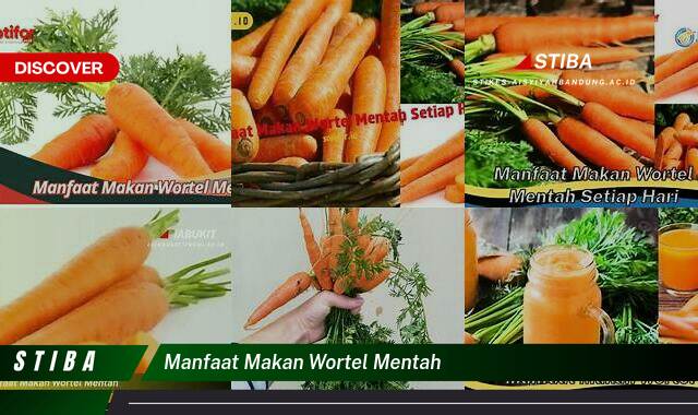 Ketahui 10 Manfaat Makan Wortel Mentah yang Wajib Kamu Intip