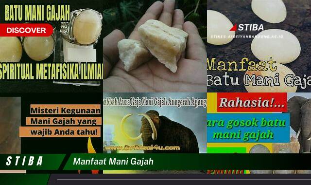 Ketahui 10 Manfaat Mani Gajah yang Bikin Kamu Penasaran