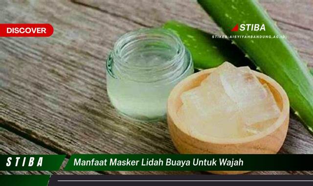 Inilah 9 Manfaat Masker Lidah Buaya untuk Wajah yang Wajib Kamu Ketahui