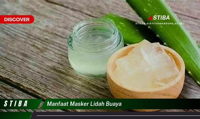 Temukan 8 Manfaat Masker Lidah Buaya yang Wajib Kamu Intip