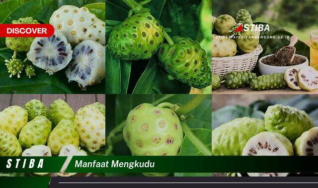 Temukan 8 Manfaat Mengkudu yang Tak Semua Orang Tahu