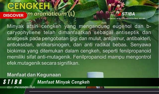 Temukan 8 Manfaat Minyak Cengkeh yang Tak Banyak Orang Tau