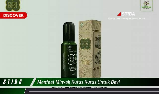 Temukan 10 Manfaat Minyak Kutus Kutus Untuk Bayi yang Wajib Kamu Intip Temukan 10 Manfaat Minyak Kutus Kutus Untuk Bayi yang Wajib Kamu Intip
