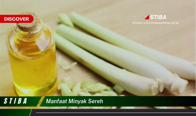 Ketahui 10 Manfaat Minyak Sereh yang Jarang Diketahui