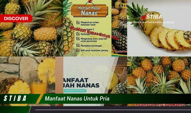 Temukan 9 Manfaat Nanas untuk Pria yang Tidak Semua Orang Tau Temukan 9 Manfaat Nanas untuk Pria yang Tidak Semua Orang Tau