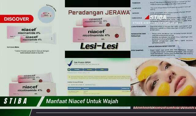 Ketahui 8 Manfaat Niacef Untuk Wajah yang Wajib Kamu Intip Ketahui 8 Manfaat Niacef Untuk Wajah yang Wajib Kamu Intip