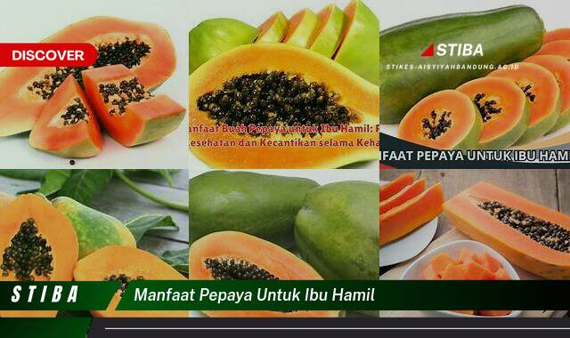 Inilah 9 Manfaat Pepaya untuk Ibu Hamil yang Jarang Diketahui Inilah 9 Manfaat Pepaya untuk Ibu Hamil yang Jarang Diketahui