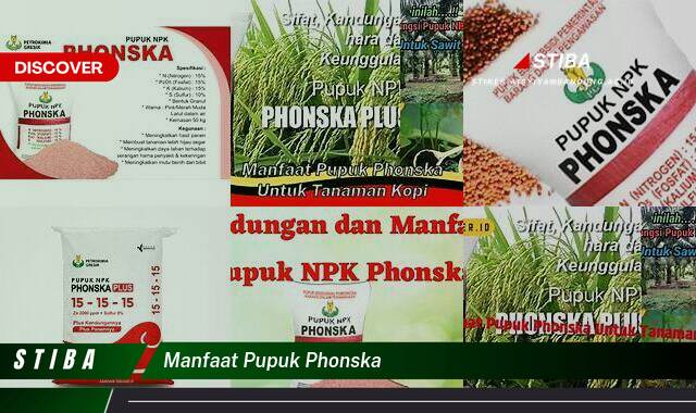 Temukan 9 Manfaat Pupuk Phonska yang Tak Semua Orang Tahu