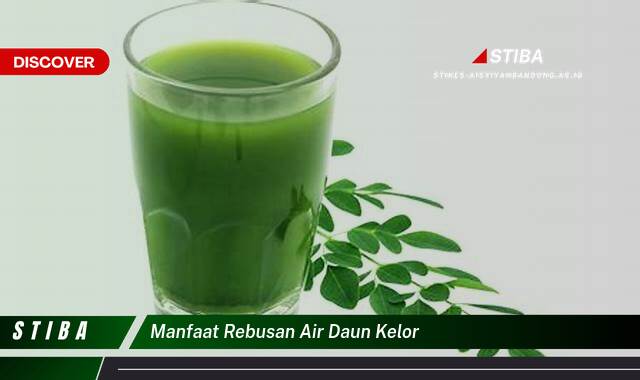 Ketahui 9 Manfaat manfaat rebusan air daun kelor yang Jarang Diketahui