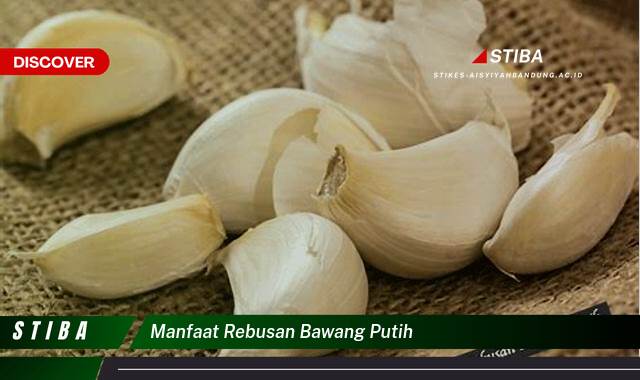 Temukan 10 Manfaat Rebusan Bawang Putih yang Jarang Diketahui