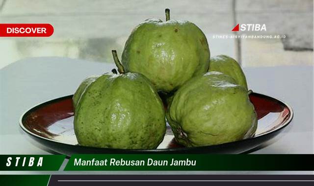 Temukan 9 Manfaat manfaat rebusan daun jambu yang Jarang Diketahui