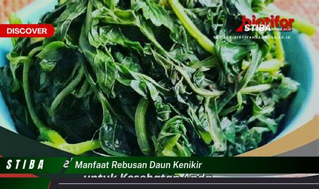 Inilah 8 Manfaat Rebusan Daun Kenikir yang Bikin Kamu Penasaran