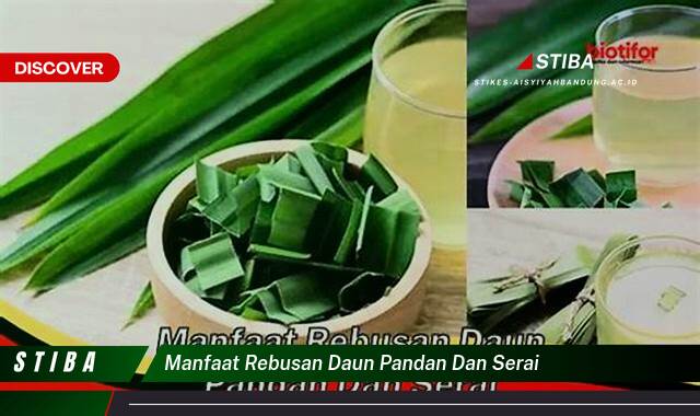 Temukan 10 Manfaat manfaat rebusan daun pandan dan serai yang Wajib kamu ketahui