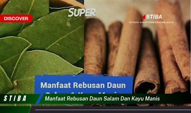 Ketahui 10 Manfaat manfaat rebusan daun salam dan kayu manis yang Wajib Kamu Intip