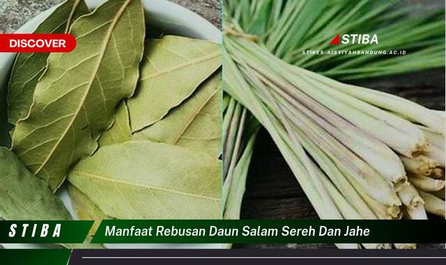 Inilah 9 Manfaat manfaat rebusan daun salam sereh dan jahe yang Bikin Kamu Penasaran