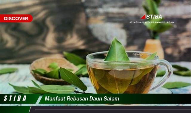 Ketahui 9 Manfaat Rebusan Daun Salam yang Wajib Kamu Intip Ketahui 9 Manfaat Rebusan Daun Salam yang Wajib Kamu Intip