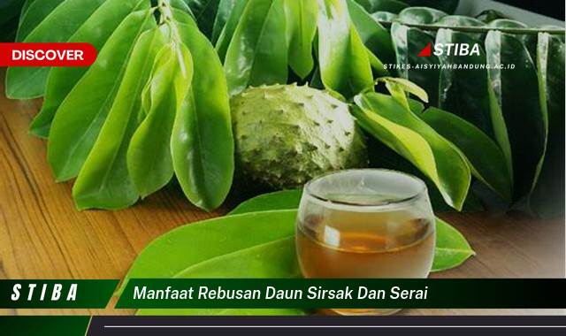 Temukan 10 Manfaat manfaat rebusan daun sirsak dan serai yang Wajib kamu ketahui