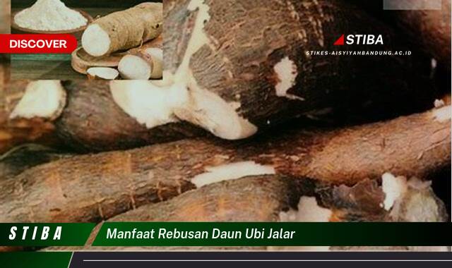 Ketahui 9 Manfaat manfaat rebusan daun ubi jalar yang tidak Semua Orang Tau