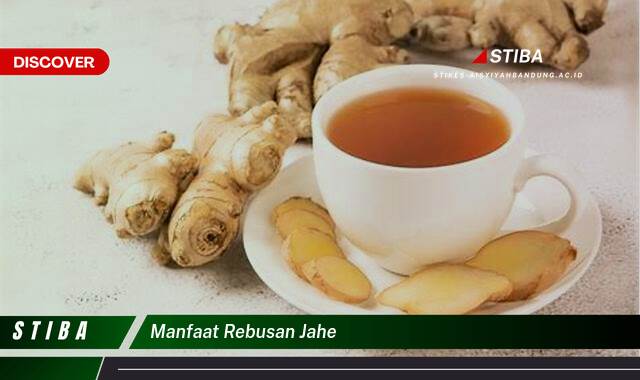 Inilah 10 Manfaat Rebusan Jahe yang Wajib Kamu Ketahui Inilah 10 Manfaat Rebusan Jahe yang Wajib Kamu Ketahui