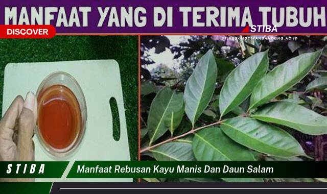 Ketahui 9 Manfaat manfaat rebusan kayu manis dan daun salam yang Wajib Kamu Intip