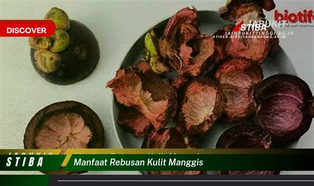 Inilah 10 Manfaat Rebusan Kulit Manggis yang Tak Banyak Orang Tahu Inilah 10 Manfaat Rebusan Kulit Manggis yang Tak Banyak Orang Tahu
