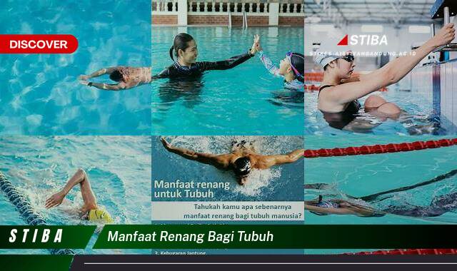 Ketahui 9 Manfaat Renang bagi Tubuh yang Jarang Diketahui Ketahui 9 Manfaat Renang bagi Tubuh yang Jarang Diketahui