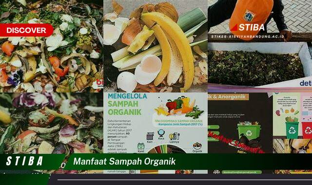 Ketahui 9 Manfaat Sampah Organik yang Bikin Kamu Penasaran Ketahui 9 Manfaat Sampah Organik yang Bikin Kamu Penasaran