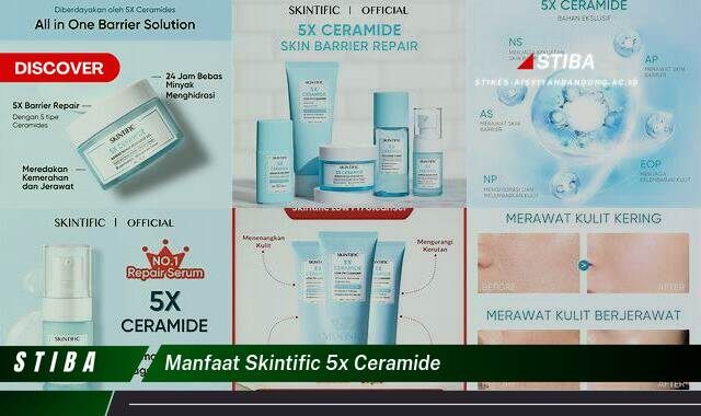 Temukan 8 Manfaat Skintific 5x Ceramide yang Wajib Kamu Ketahui Temukan 8 Manfaat Skintific 5x Ceramide yang Wajib Kamu Ketahui