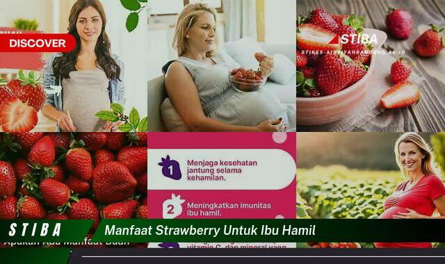 Inilah 9 Manfaat Strawberry untuk Ibu Hamil yang Wajib Kamu Intip Inilah 9 Manfaat Strawberry untuk Ibu Hamil yang Wajib Kamu Intip