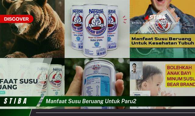 Temukan 10 Manfaat Susu Beruang untuk Paru,Paru yang Bikin Kamu Penasaran