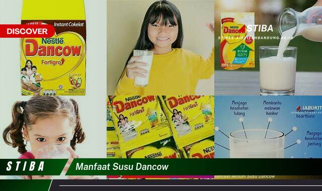 Temukan 9 Manfaat Susu Dancow yang Wajib Kamu Ketahui