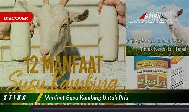 Temukan 10 Manfaat Susu Kambing untuk Pria yang Wajib Kamu Ketahui Temukan 10 Manfaat Susu Kambing untuk Pria yang Wajib Kamu Ketahui