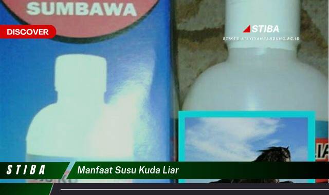 Inilah 9 Manfaat Susu Kuda Liar yang Bikin Kamu Penasaran